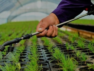 ХЭНТИЙ ПК “ОЙН ИНЖЕНЕР, ОЙЖУУЛАГЧ” МЭРГЭЖЛИЙН БАГШИЙН ШАЛГАРУУЛАЛТЫГ ЗАРЛАЖ БАЙНА.