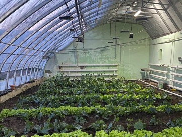 САЙН ТУРШЛАГА 8