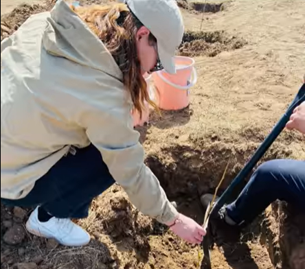 ПОЛИТЕХНИК КОЛЛЕЖИЙН БАГШ, АЖИЛЧИД 