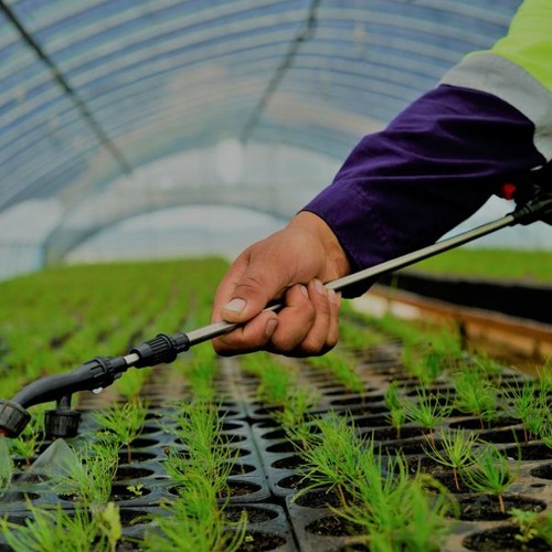 ХЭНТИЙ ПК “ОЙН ИНЖЕНЕР, ОЙЖУУЛАГЧ” МЭРГЭЖЛИЙН БАГШИЙН ШАЛГАРУУЛАЛТЫГ ЗАРЛАЖ БАЙНА.